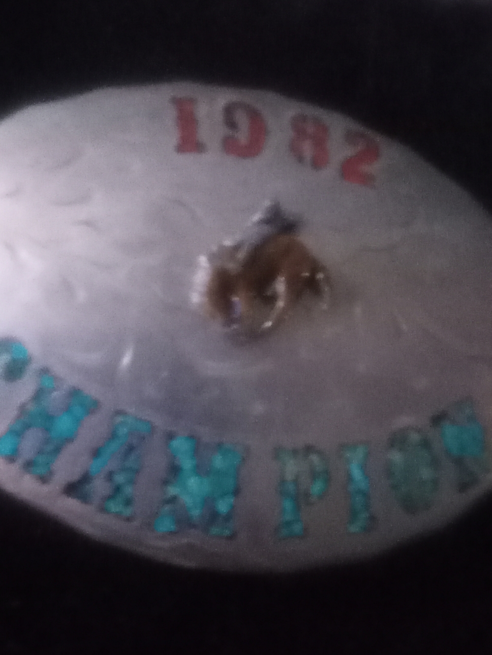 Vintage Champion Token Pin - Silver with Teal & Red Accents